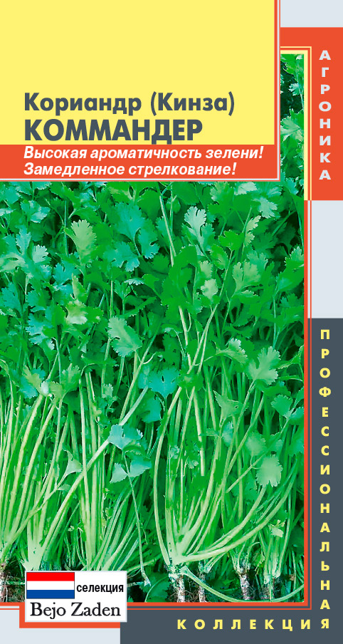Семена Плазмас Кориандр (кинза) Коммандер, 1 г Bejo Zaden Профессиональная коллекция
Семена Плазмас Кориандр (кинза) Коммандер, 1 г Bejo Zaden Профессиональная коллекция