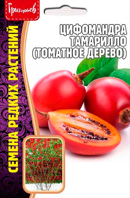 Семена Григорьев Цифомандра Тамарилло (Томатное дерево), 5 шт. Семена Редких Растений
Семена Григорьев Цифомандра Тамарилло (Томатное дерево), 5 шт. Семена Редких Растений