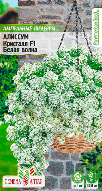 Семена Семена Алтая Алиссум ампельный Кристалл Белая Волна F1, 0,01 г PanAmerican Seeds Ампельные Шедевры
Семена Семена Алтая Алиссум ампельный Кристалл Белая Волна F1, 0,01 г PanAmerican Seeds Ампельные Шедевры