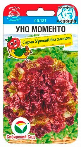 Семена Сибирский сад Салат листовой Уно Моменто, 0,5 г Урожай без хлопот Проверено в Сибири
Семена Сибирский сад Салат листовой Уно Моменто, 0,5 г Урожай без хлопот Проверено в Сибири