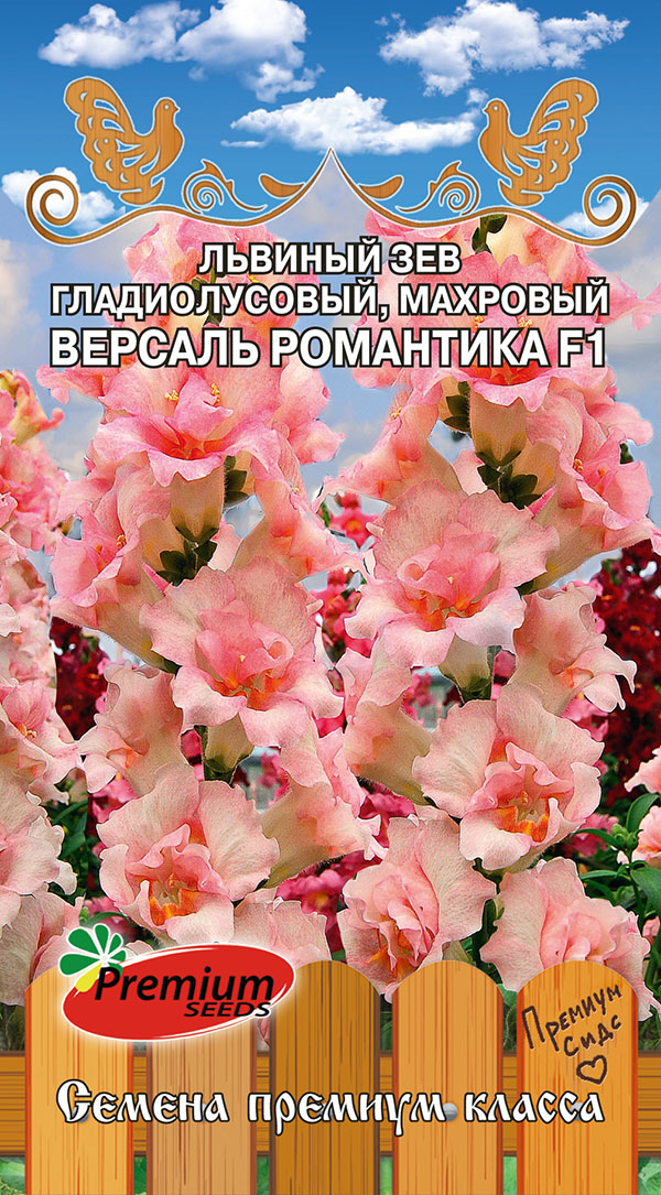 Семена Premium seeds Львиный зев гладиолусовый махровый Версаль Романтика F1, 5 шт. Любовь да голуби
Семена Premium seeds Львиный зев гладиолусовый махровый Версаль Романтика F1, 5 шт. Любовь да голуби