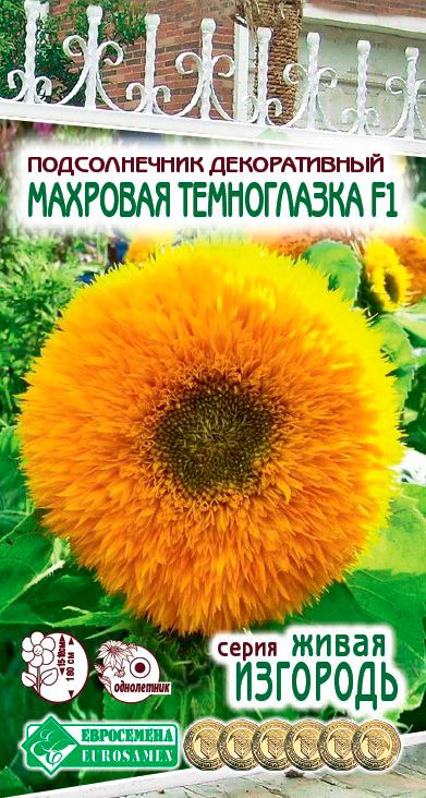Семена ЕВРОСЕМЕНА Подсолнечник декоративный Махровая Темноглазка, 5 шт. Живая Изгородь
Семена ЕВРОСЕМЕНА Подсолнечник декоративный Махровая Темноглазка, 5 шт. Живая Изгородь