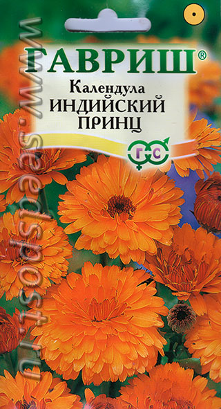 Календула мультиколор выращивание 80