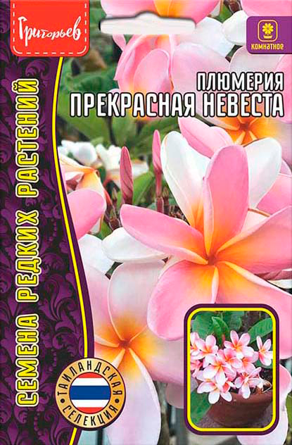 Семена Григорьев Плюмерия Прекрасная Невеста, 3 шт. Тайландская селекция Семена Редких Растений
Семена Григорьев Плюмерия Прекрасная Невеста, 3 шт. Тайландская селекция Семена Редких Растений