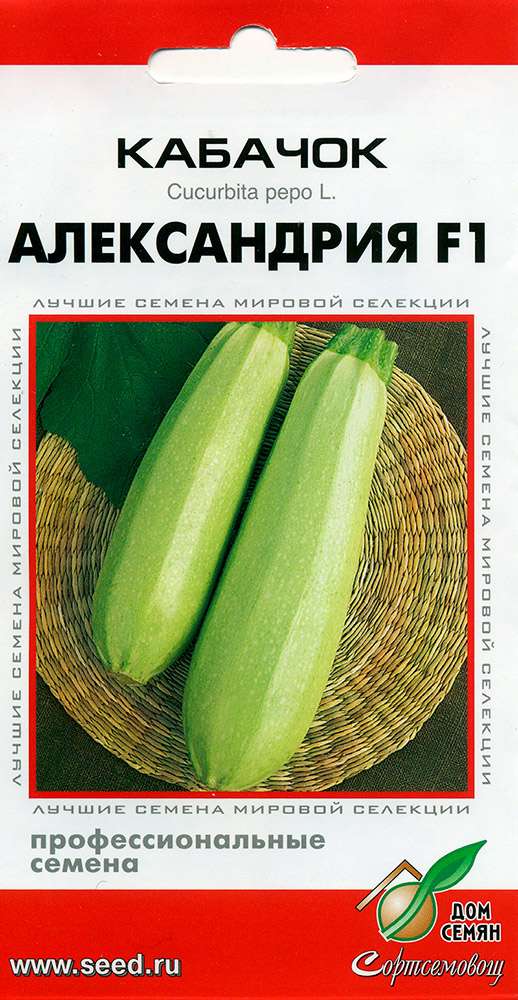 Семена Дом семян (Сортсемовощ) Кабачок Александрия F1, 5 шт. Профессиональные семена
Семена Дом семян (Сортсемовощ) Кабачок Александрия F1, 5 шт. Профессиональные семена