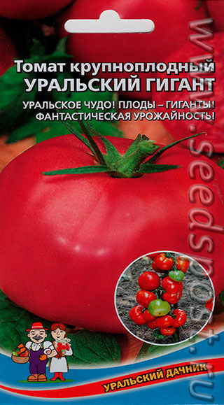 Семена томат уральский дачник Семена томат уральский дачник