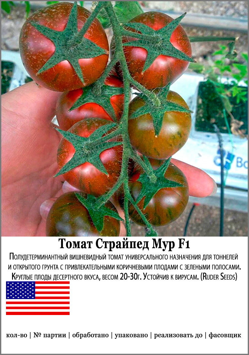 Семена SEEDSPOST Томат Страйпед Мур F1 5 шт. Мировые хиты Ruder Seeds Элитные семена
Семена SEEDSPOST Томат Страйпед Мур F1 5 шт. Мировые хиты Ruder Seeds Элитные семена