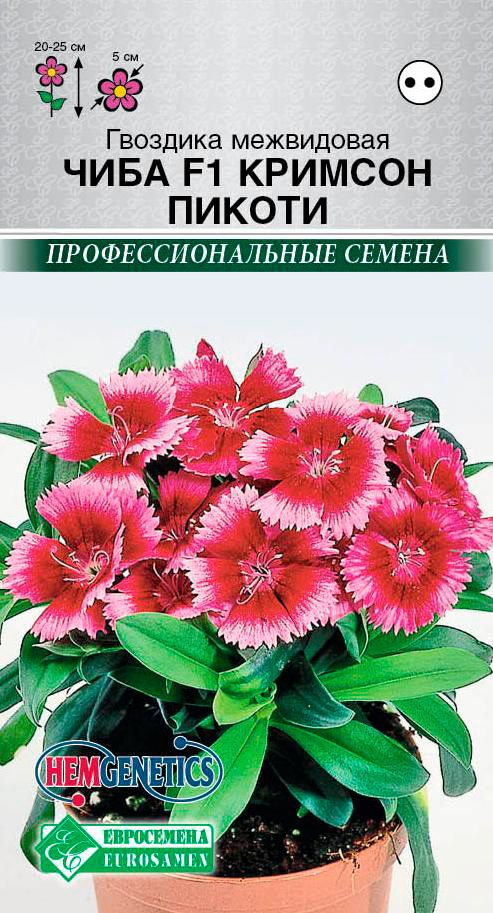 Семена ЕВРОСЕМЕНА Гвоздика Чиба Кримсон Пикоти F1, 5 шт. Hem Genetics Профессиональные семена
Семена ЕВРОСЕМЕНА Гвоздика Чиба Кримсон Пикоти F1, 5 шт. Hem Genetics Профессиональные семена