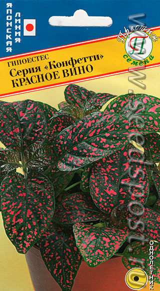 Семена гипоэстеса Семена гипоэстеса