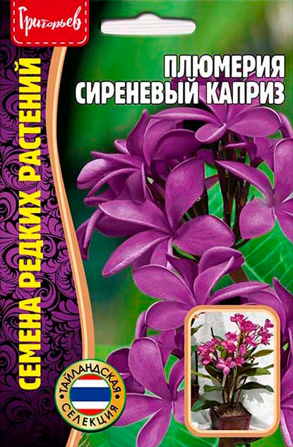 Семена Григорьев Плюмерия Сиреневый Каприз (франжипани), 3 шт. Семена редких растений
Семена Григорьев Плюмерия Сиреневый Каприз (франжипани), 3 шт. Семена редких растений