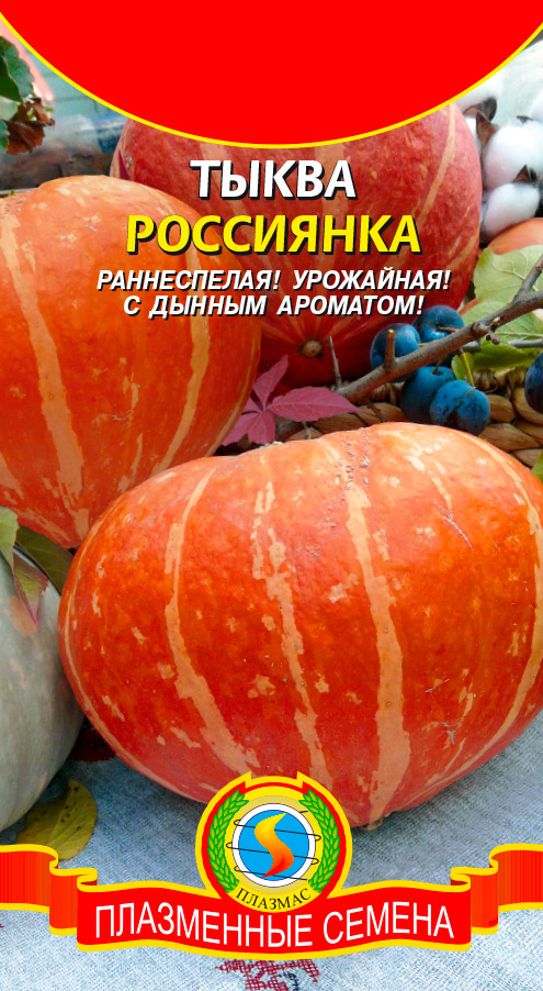 

Семена Плазмас Тыква Россиянка, 2 г