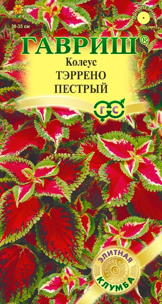 

Семена Гавриш Колеус Тэррено Пестрый, 4 шт. Элитная клумба