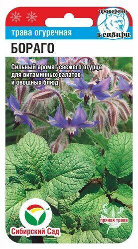 

Семена Сибирский сад Огуречная трава Бораго, 0,5 г Проверено в Сибири