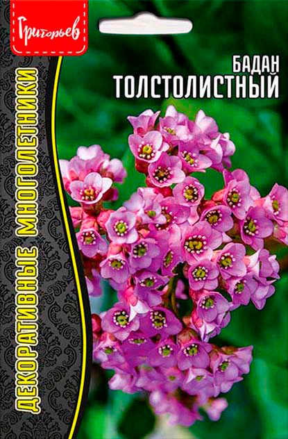 

Семена Григорьев Бадан Толстолистный, 0,01 г Декоративные многолетники