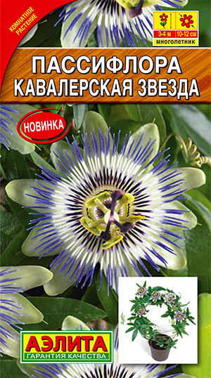 

Семена Аэлита Пассифлора Кавалерская звезда, 5 шт.