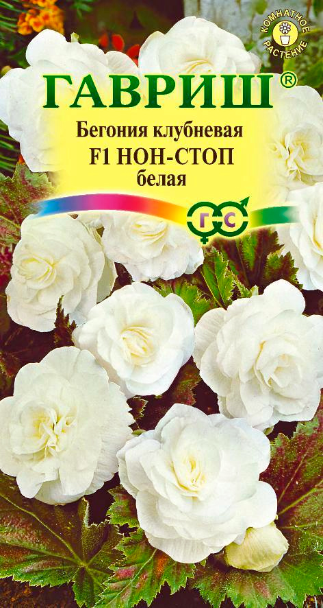 

Семена Гавриш Бегония клубневая Нон-стоп Белая, 4 шт.