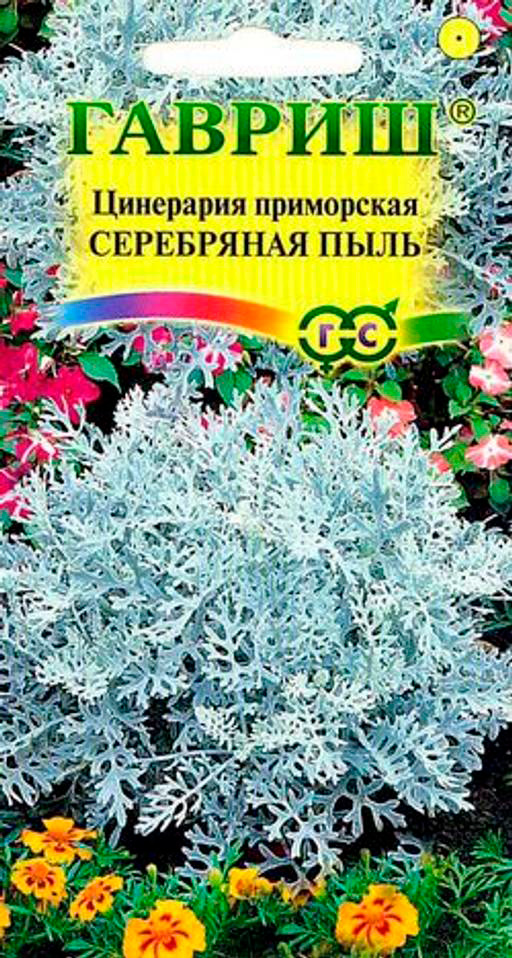 

Семена Гавриш Цинерария приморская Серебряная пыль, 0,05 г