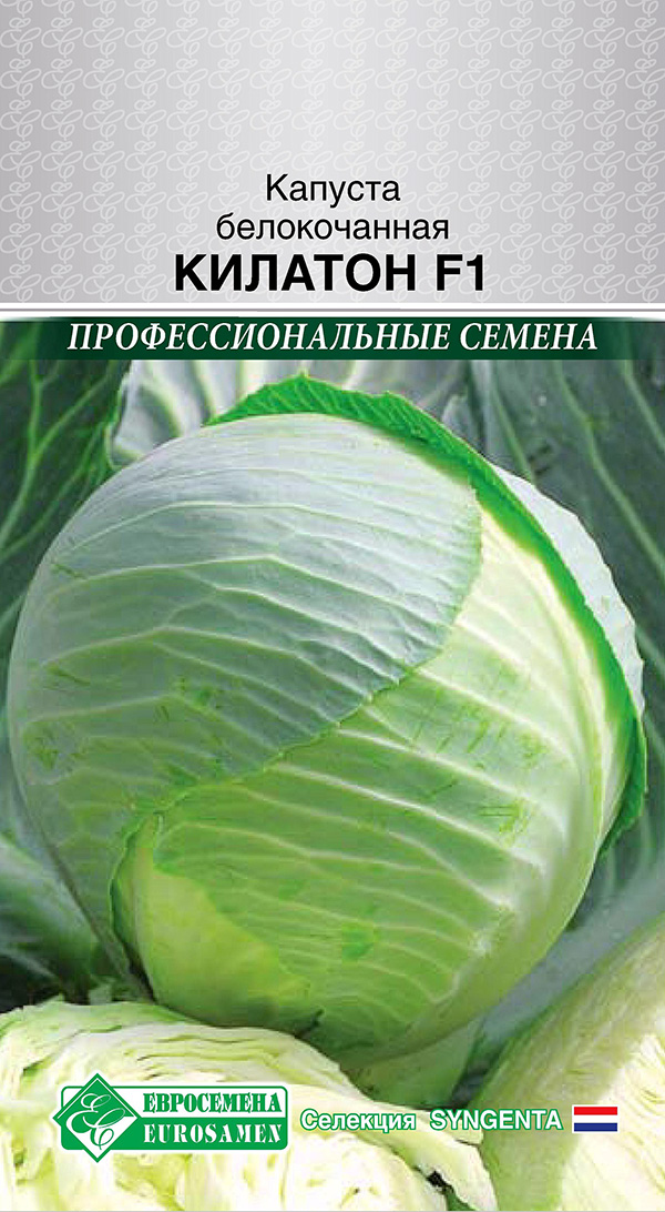 Семена ЕВРОСЕМЕНА Капуста белокочанная Килатон F1, 10 шт. Syngenta Профессиональные семена