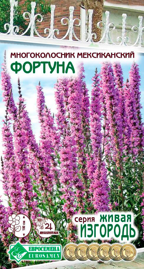 

Семена ЕВРОСЕМЕНА Многоколосник мексиканский Фортуна, 0,2 г Живая Изгородь