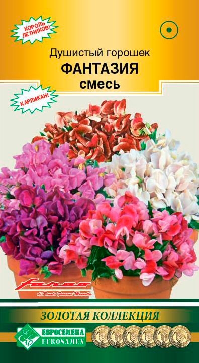

Семена ЕВРОСЕМЕНА Душистый горошек Фантазия, Смесь, 10 шт. Farao Золотая коллекция