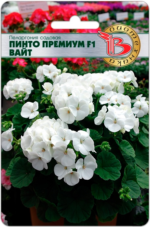 Семена Биотехника Пеларгония садовая Пинто Премиум Вайт F1, 5 шт.