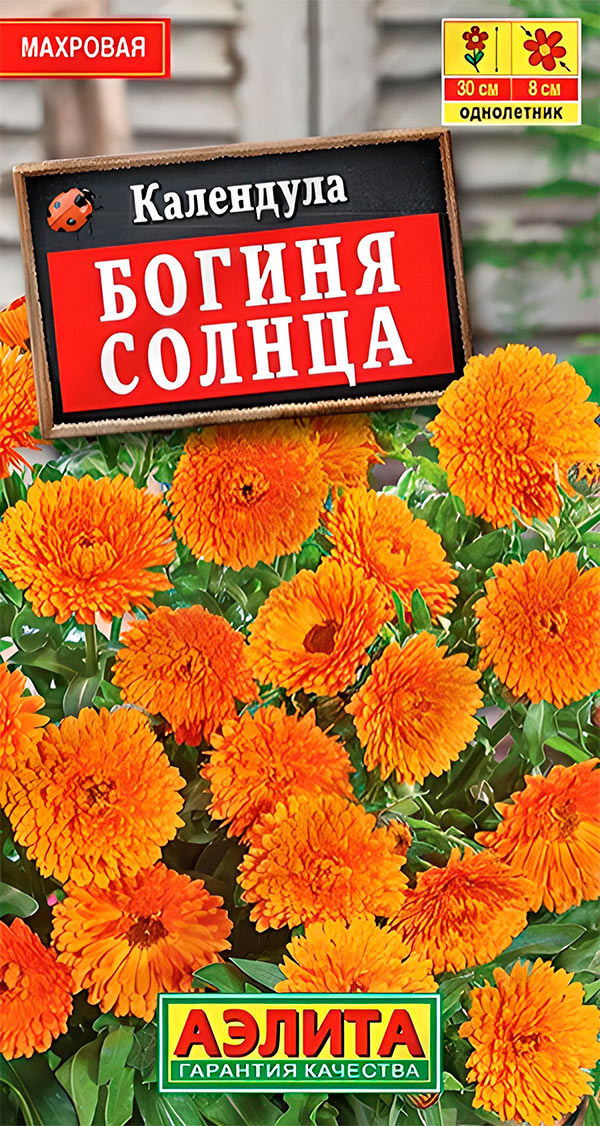 

Семена Аэлита Календула Богиня солнца, 0,3 г