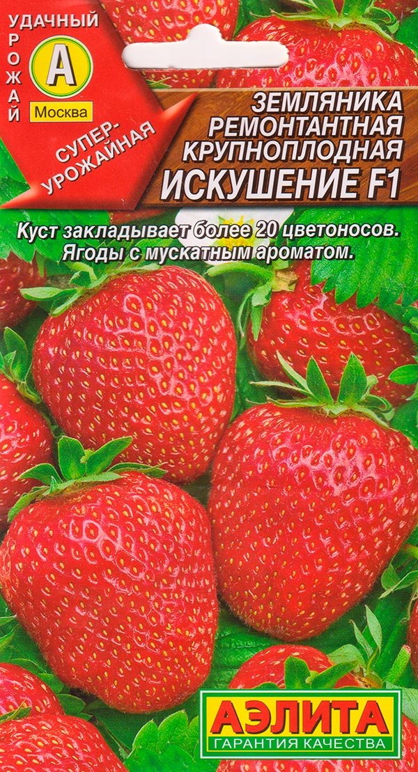 Купить Семена Клубники В Магазине Нижнего Новгорода