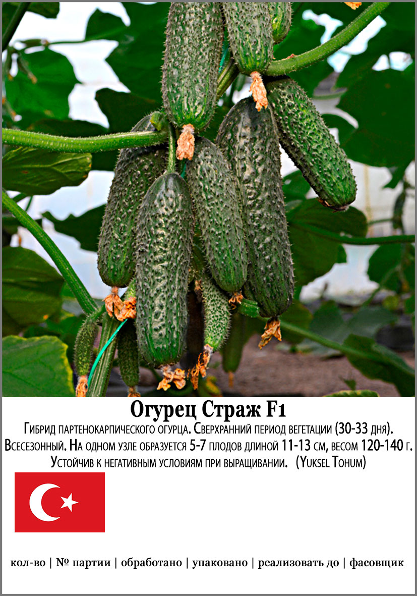 

Семена SEEDSPOST Огурец Страж F1, 5 шт. Мировые хиты Yoksel Tohum Элитные семена
