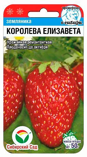 

Семена Сибирский сад Земляника крупноплодная Королева Елизавета, 10 шт.