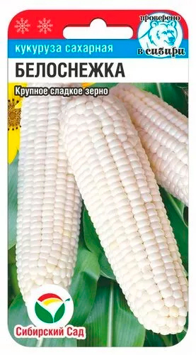 

Семена Сибирский сад Кукуруза Белоснежка, 10 шт. Проверено в Сибири