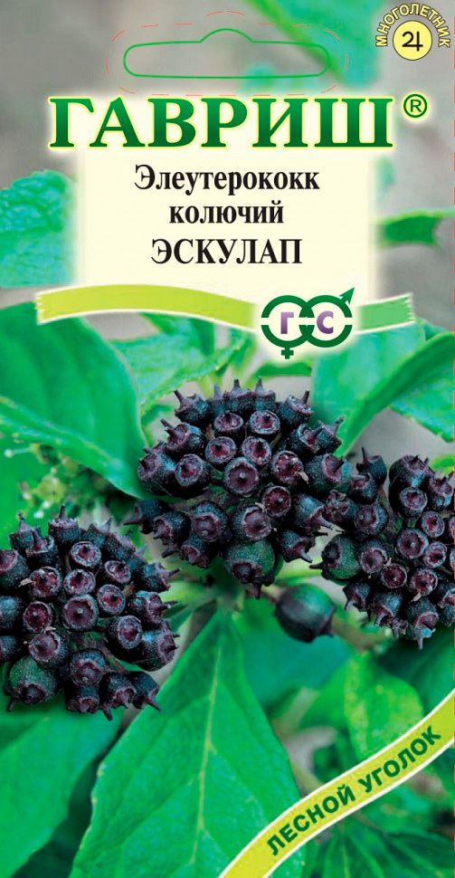 

Семена Гавриш Элеутерокок колючий Эскулап, 3 шт.