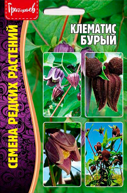 

Семена Григорьев Клематис Бурый, 4 шт. Семена редких растений