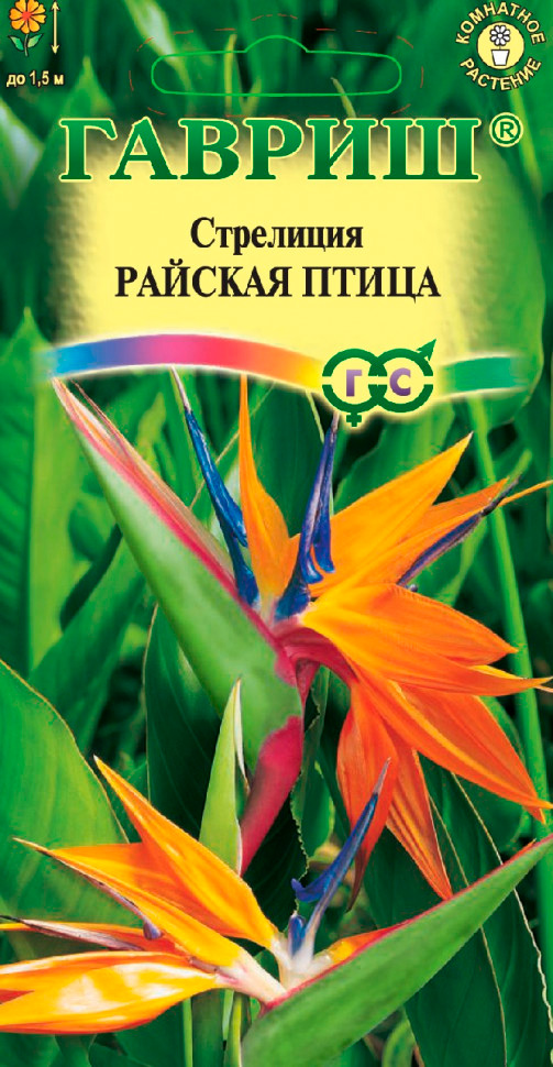 

Семена Гавриш Стрелиция Райская птица, 3 шт.