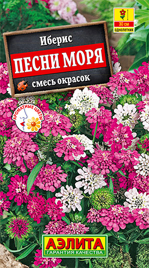 

Семена Аэлита Иберис Песни моря, 0,1 г