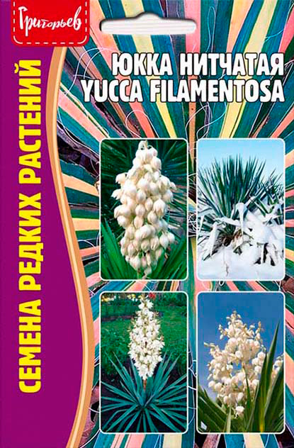 

Семена Григорьев Юкка Нитчатая (Yucca filamentosa), 15 шт. Семена редких растений