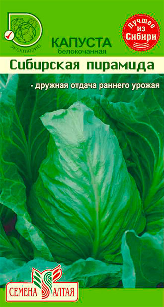 Семена Семена Алтая Капуста белокочанная Сибирская Пирамида, 0,5 г