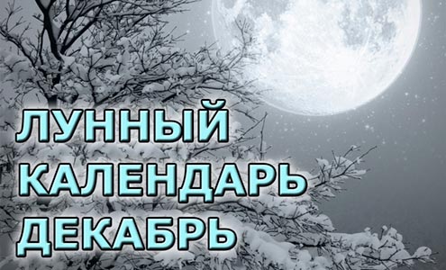 Лунный календарь садовода на декабрь | Seedspost.ru