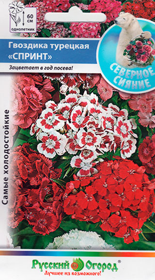 Семена Русский огород Гвоздика турецкая Спринт, Смесь, 200 шт. Северное сияние