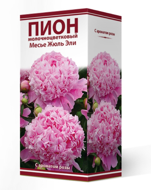

Посадочный материал Поиск Агрофирма Пион молочноцветковый МЕСЬЕ ЖЮЛЬ ЭЛИ, 1 шт.