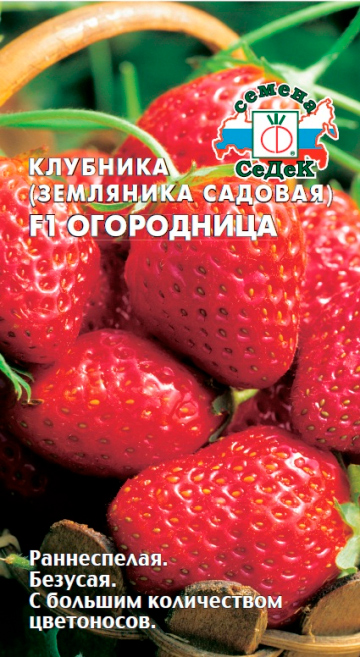

Семена СеДеК Земляника Огородница F1, 15 шт.