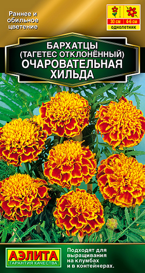 

Семена Аэлита Бархатцы отклоненные Очаровательная Хильда, 0,1 г