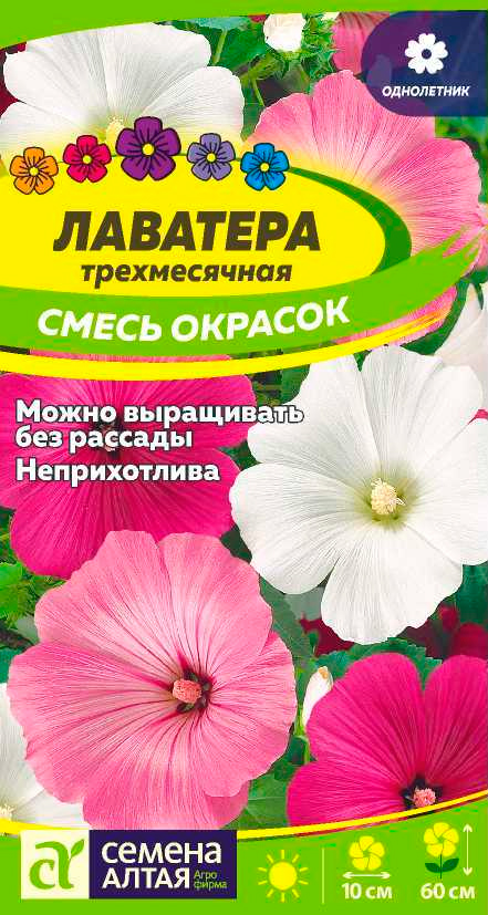 

Семена Семена Алтая Лаватера, Смесь, 0,2 г