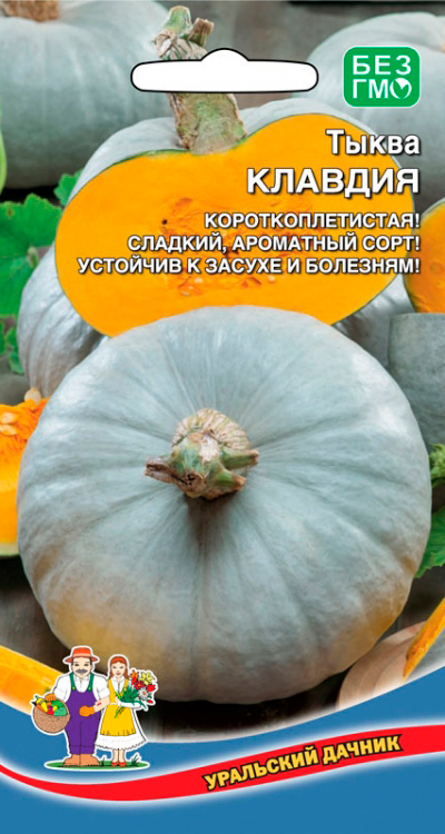 

Семена Уральский дачник Тыква Клавдия, 5 шт.