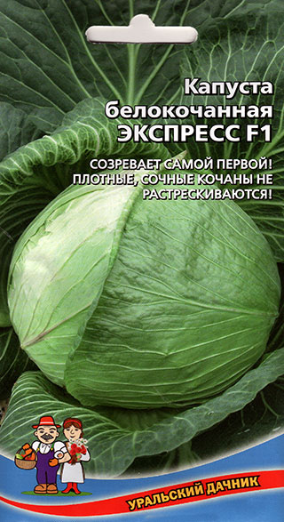 Семена Уральский дачник Капуста белокочанная Экспресс F1, 0,3 г