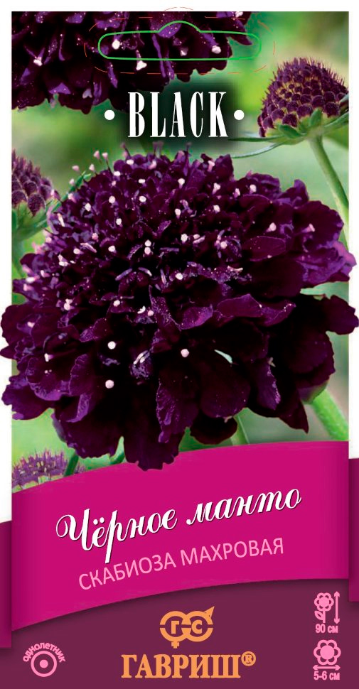 

Семена Гавриш Скабиоза пурпурная махровая Черное манто, 0,2 г Black