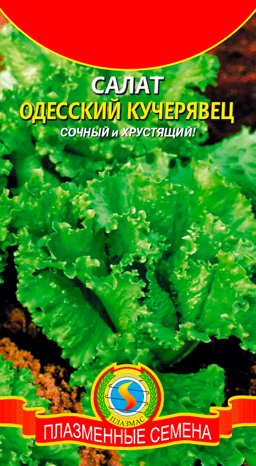 

Семена Плазмас Салат Одесский кучерявец, 0,9 г