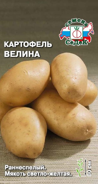 

Семена СеДеК Картофель Велина, 0,02 г (~ 30-40 шт. ботанических семян)