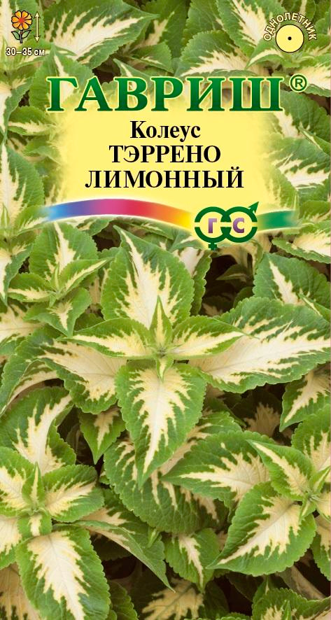 

Семена Гавриш Колеус Тэррено Лимонный, 4 шт. Элитная клумба