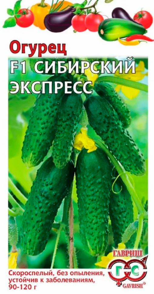 

Семена Гавриш Огурец Сибирский экспресс F1, 10 шт.