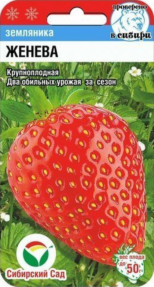 Семена Сибирский сад Земляника крупноплодная Женева, 10 шт.